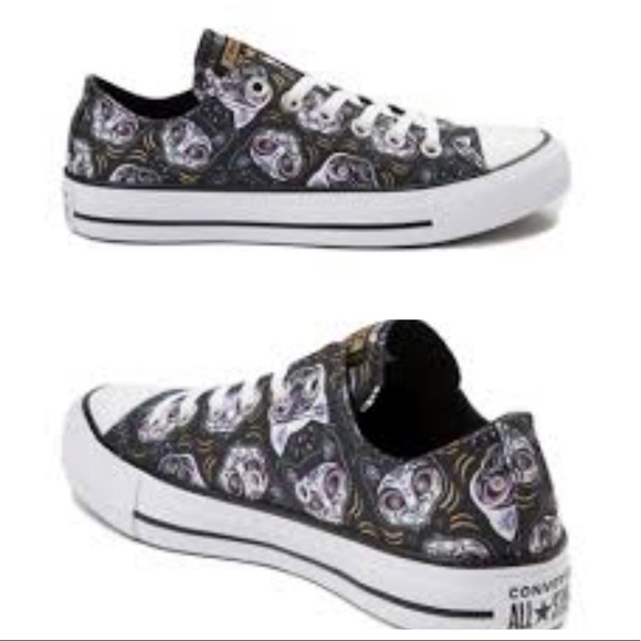 converse cats